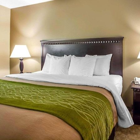 Comfort Inn Edison - New Brunswick Экстерьер фото